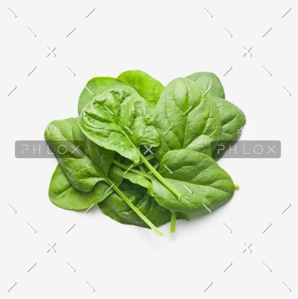 Cabbage Band Gobhi – Image 2